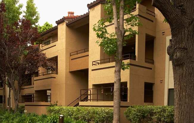 the building where the apartment is located