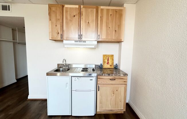 Studio, 1 bath, 195 sqft, $470, Unit 417