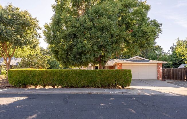 Single Level Ranch Home In Desirable Clayton Valley Highlands Neighborhood!