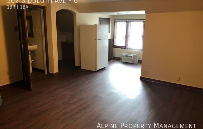 502 S DULUTH AVE