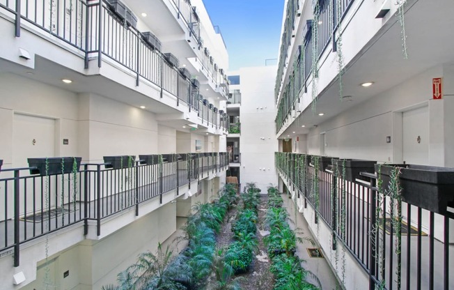 a corridor with plants in the middle of a building