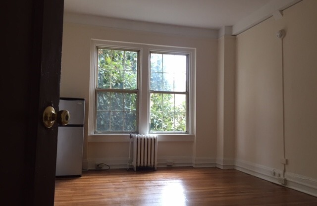 Studio, 1 bath, 275 sqft, $950, Unit 213A