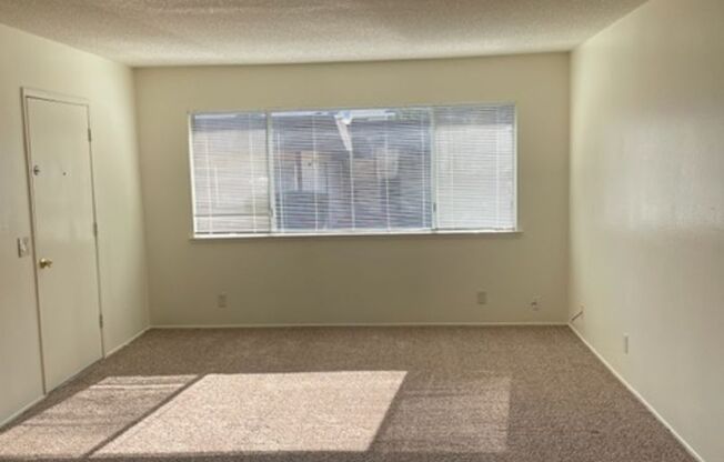 2 beds, 1 bath, 875 sqft, $1,055