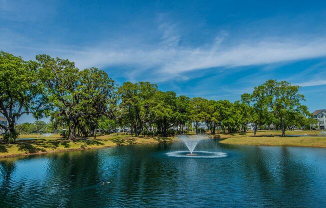 Beautiful Oyster Point Townhome - Mt. Pleasant