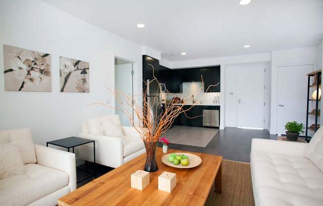 MODERN APARTMENTS IN HOLLYWOOD, LOS ANGELES