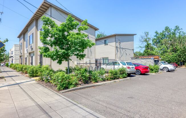 Holgate 8 Apartments