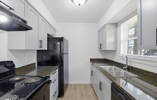 1 bed, 1 bath, 742 sqft, $939, Unit 1003
