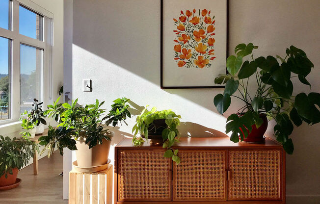 Holm at Sellwood - Apartments in Sellwood