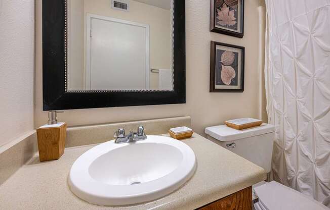 A bathroom with a sink, mirror, and toilet.