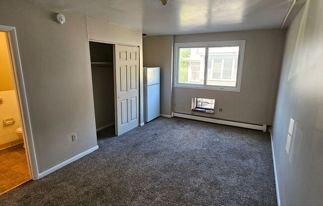 Studio, 1 bath, $916, Unit 202