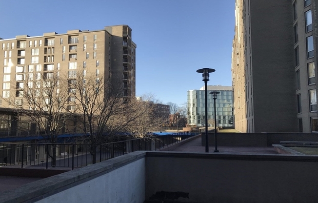 1 bed, 1 bath, 870 sqft, $2,995, Unit 203