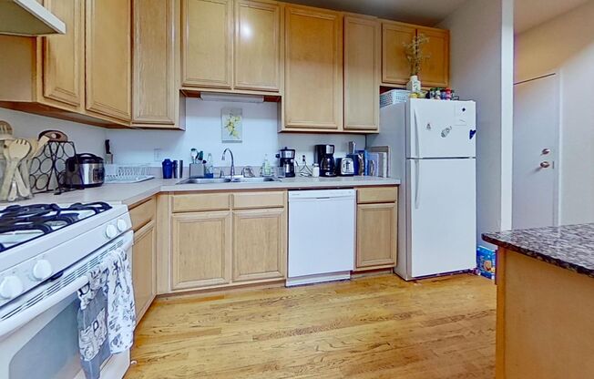 Large Lincoln Park Duplexed Three Bedroom Two Bath