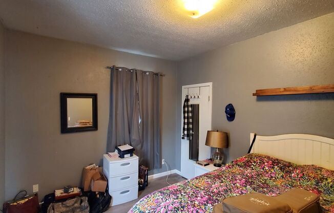 Pet Friendly 3 Bedroom with RV Parking, Close to Downtown Albany!