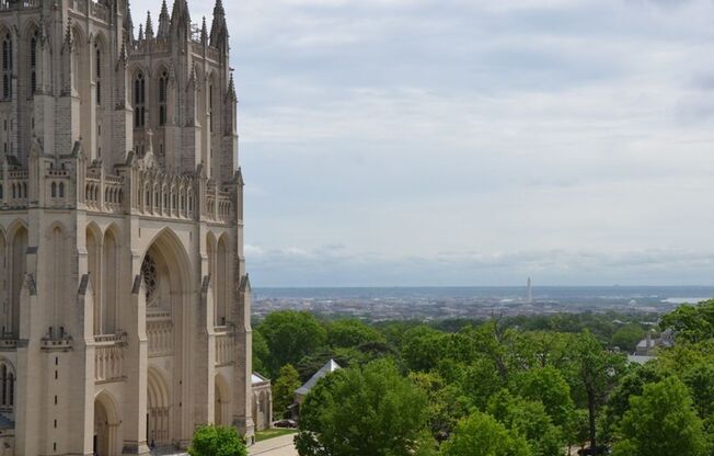 1 bed, 1 bath, 730 sqft, $1,770, Unit 116