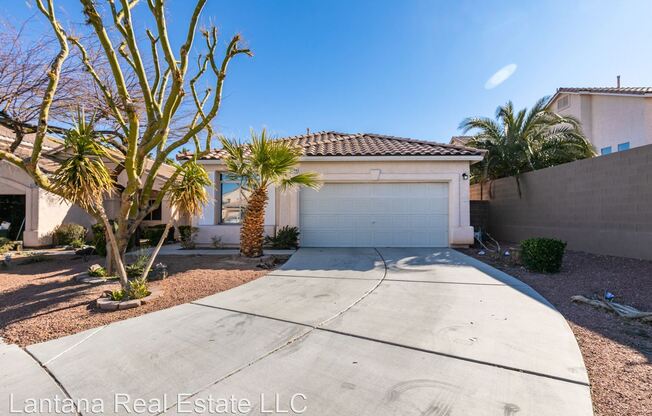 8564 Red Diamond St.