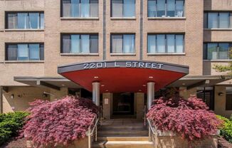 West End Studio Apartment for Rent- All Utilties Included, Updated Appliances, Roof Deck, Pool, Front Desk, & More!