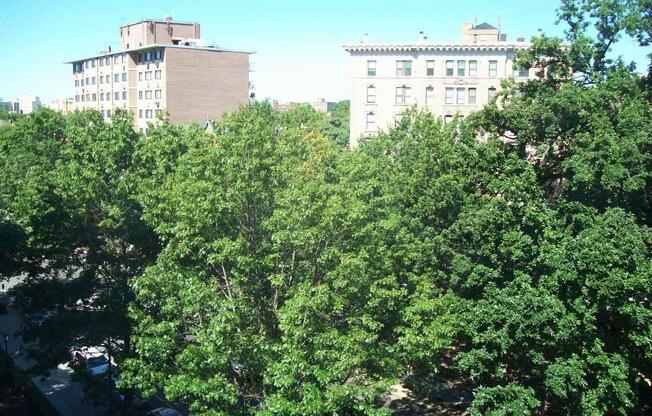 Studio, 1 bath, 407 sqft, $1,795, Unit H514