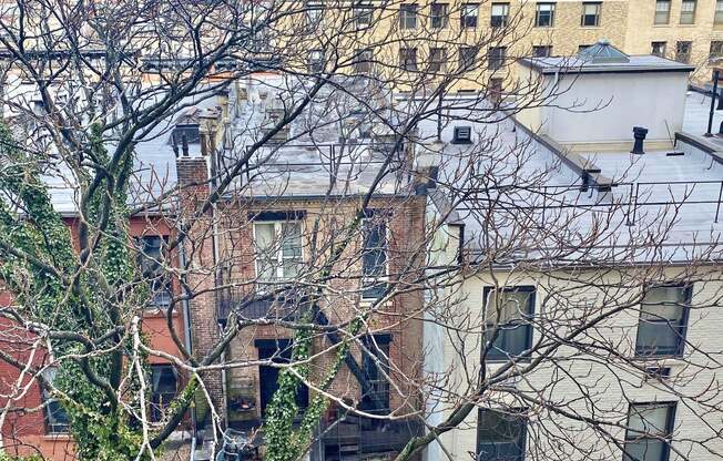 2 beds, 2 baths, $7,495, Unit 11B