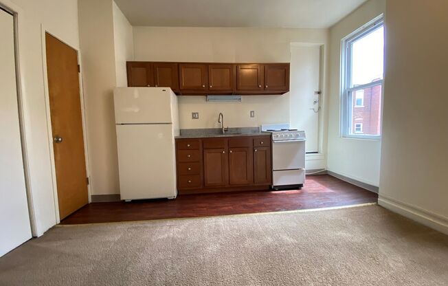Cozy One Bedroom Apartment in Oakland - A Perfect Home for Pitt Students - Call Today to Check it Out!