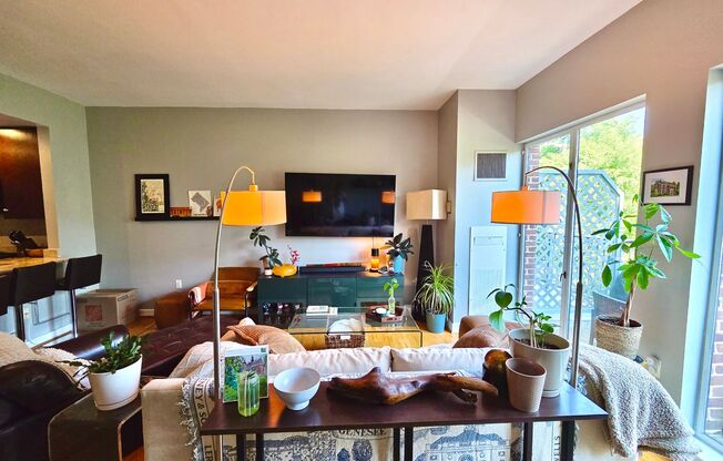 Lovely 1 BR/1 BA Condo in the Heart of Georgetown!