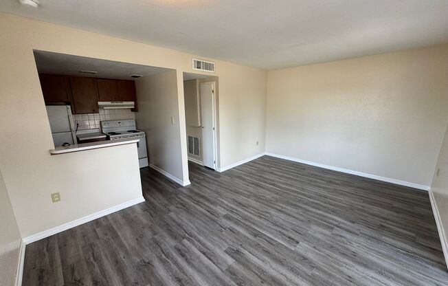 Spacious Remodeled 1BR/1BA  Apartment with Beautiful New LVT Flooring