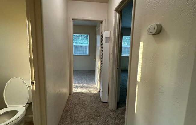 2 beds, 1 bath, $1,595