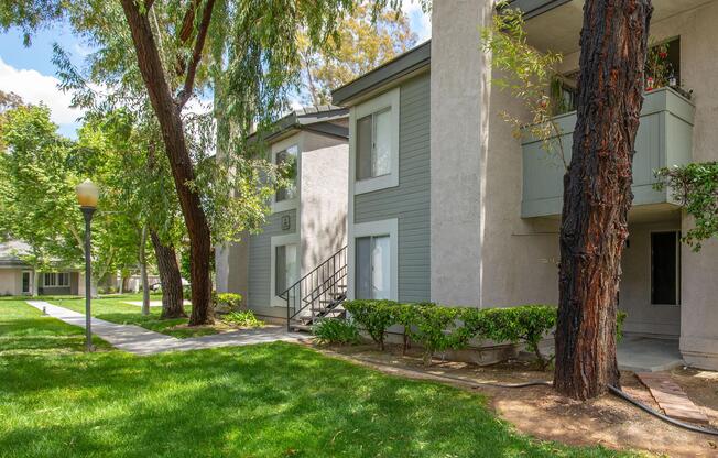 a tree in front of a house