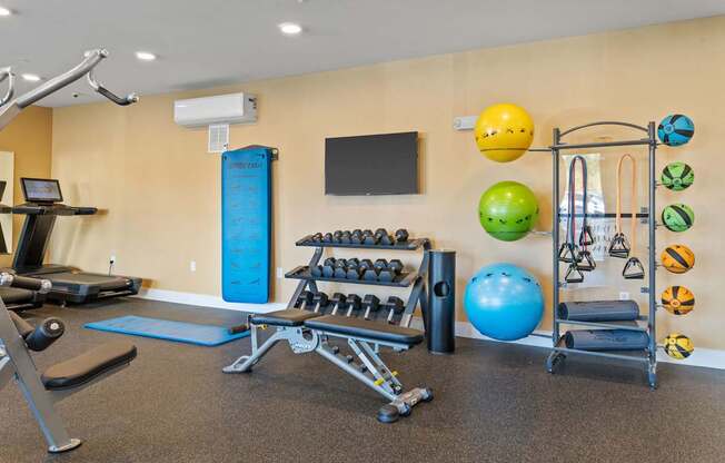 A gym with a variety of equipment including weights, a treadmill, and a rowing machine.