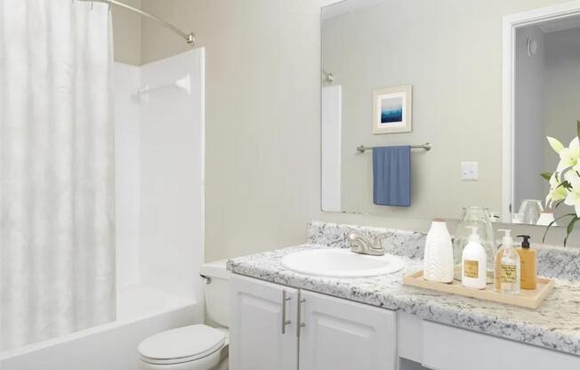 a bathroom with a sink and a toilet and a shower