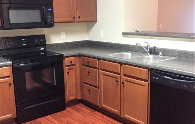 1 bed, 1 bath, 687 sqft, $775, Unit O09