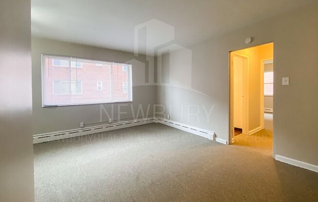 1 bed, 1 bath, 564 sqft, $675, Unit T 10