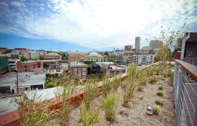 Rooftop at Pine Minor, Washington, 98101