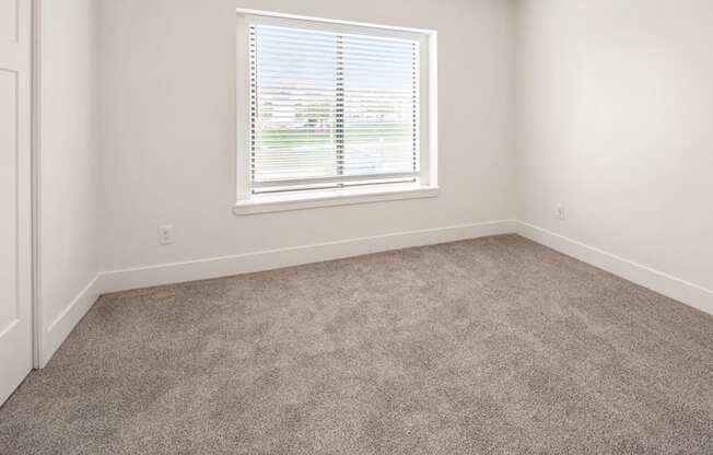Bedroom with carpet and a window