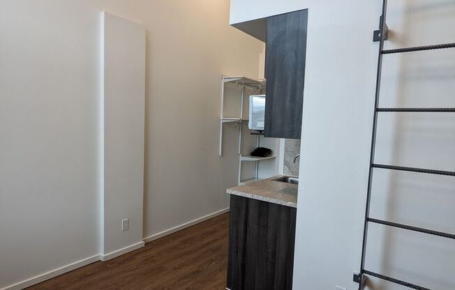 Studio, 1 bath, 186 sqft, $1,515, Unit 507