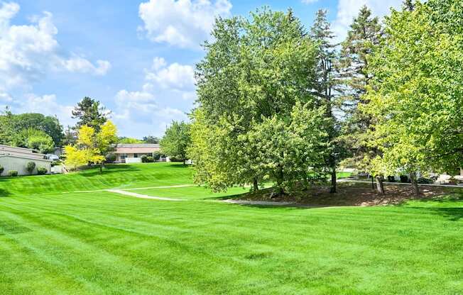 A green lawn with trees and a house in the background.