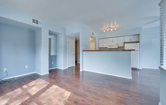 1 bed, 1 bath, $1,300, Unit # 1061