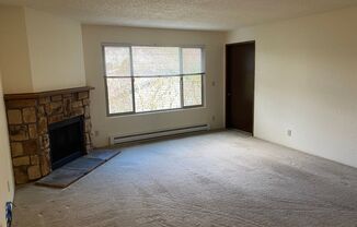 Spacious 1BD/1BA apartment near Northgate