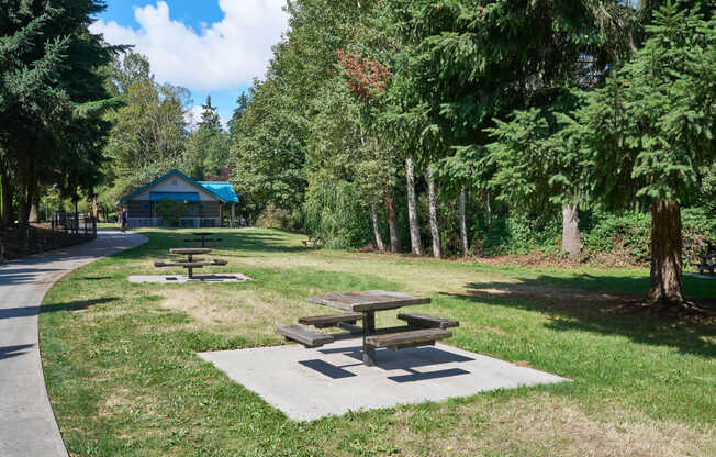 Picnic area at Martha Lake Park