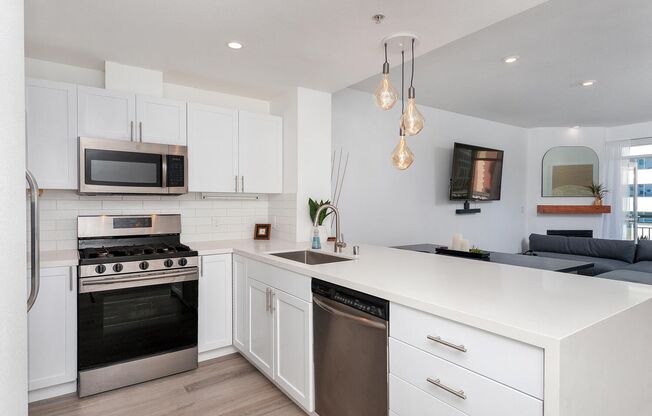 1 bed, 1 bath, $3,000