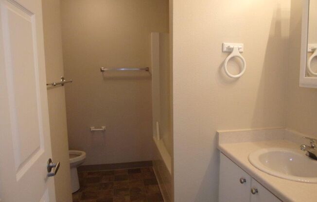 1 bed, 1 bath, 566 sqft, $1,277, Unit 137-316