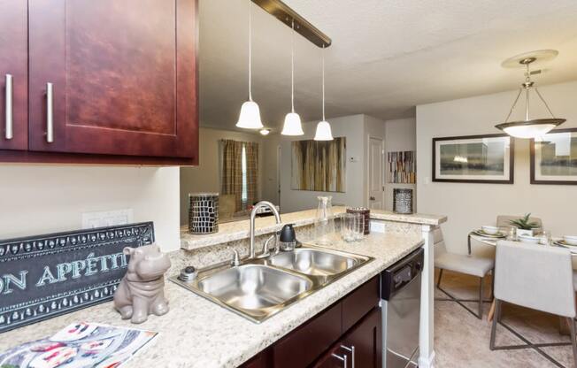 Kitchen with Dishwasher at Palmetto Place Apartments, Taylors, 29687