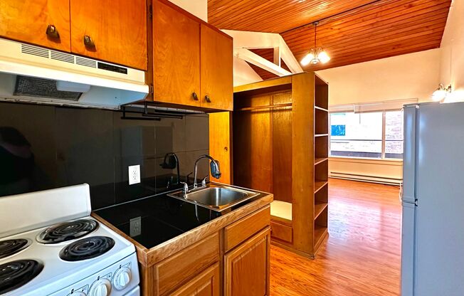 Studio, 1 bath, 350 sqft, $1,295, Unit 203