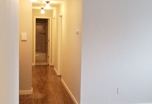 1 bed, 1 bath, 600 sqft, $1,099, Unit 304