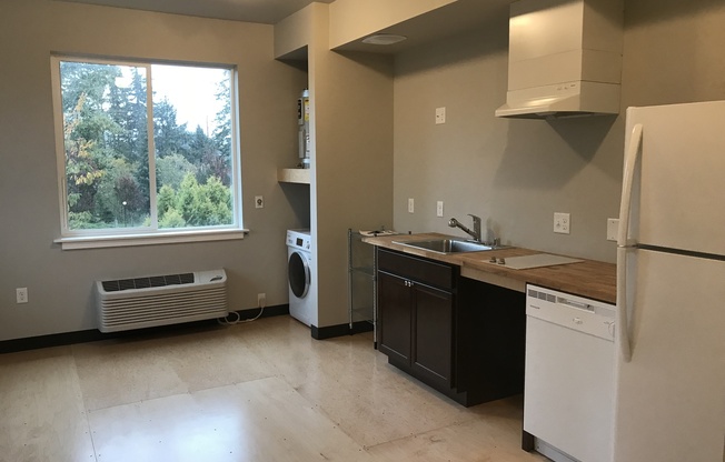 Studio, 1 bath, 308 sqft, $1,225, Unit 301