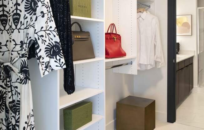 Master Closet at 220 Meridian, Indianapolis, IN 46204