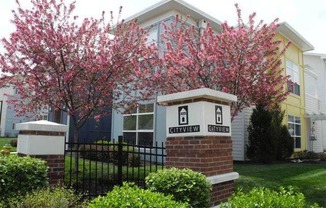 flowering trees behind pillar