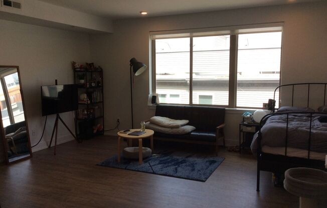Studio, 1 bath, 575 sqft, $1,425, Unit Unit 407