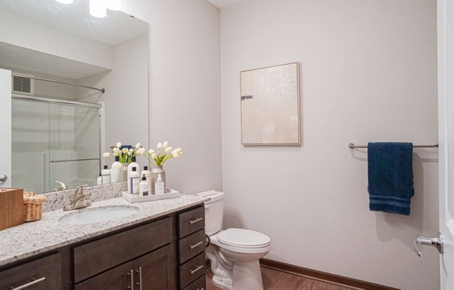 a bathroom with a toilet sink and mirror at The Yards and Backyards, Minnesota, 55075
