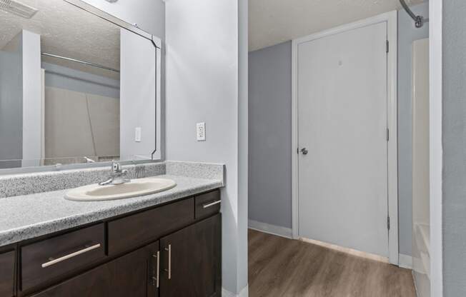 a bathroom with a sink and a mirror and a shower