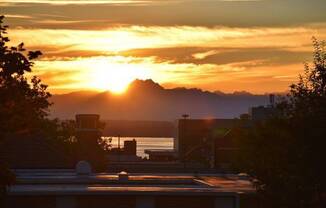 Gorgeous 1-BR + Den, Downtown Kirkland Condo, Steps to the Lake!